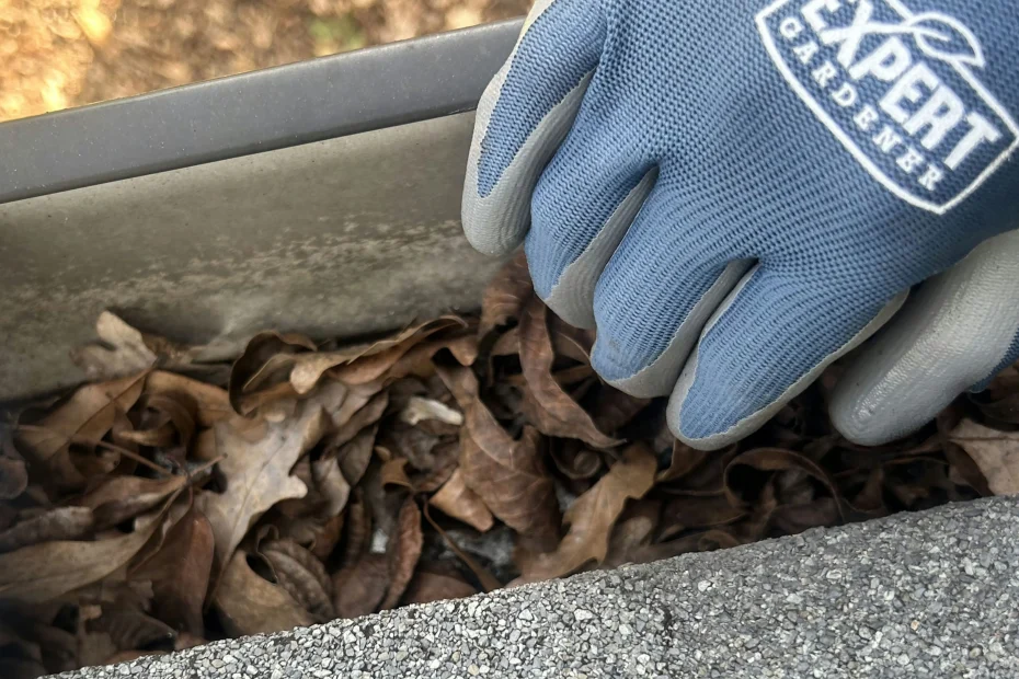 Gutter Cleaning Fernandina Beach FL