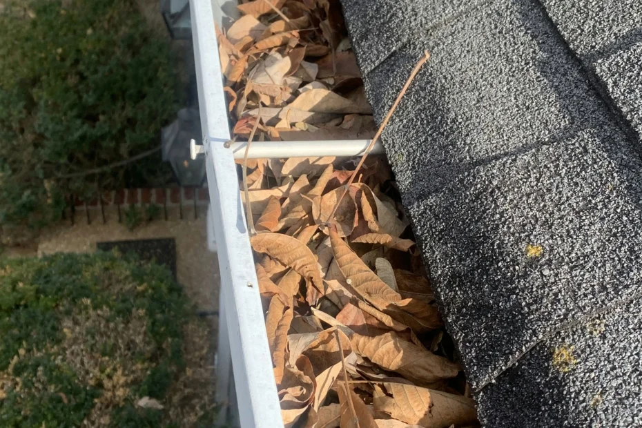 Gutter Cleaning Fernandina Beach FL