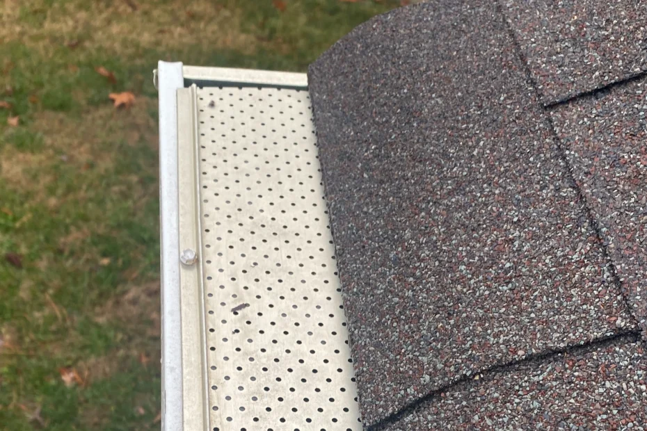 Gutter Cleaning Fernandina Beach FL