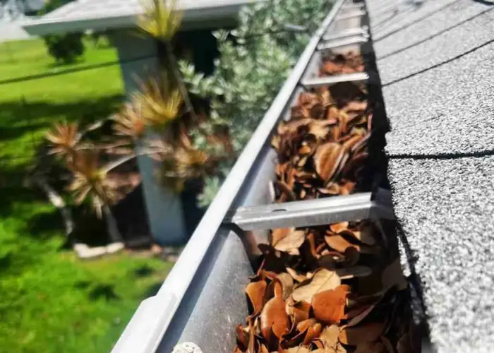 Gutter Cleaning Fernandina Beach FL home page